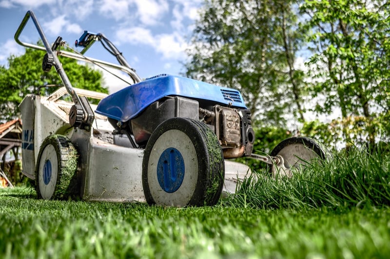 Outdoor Garden Maintenance